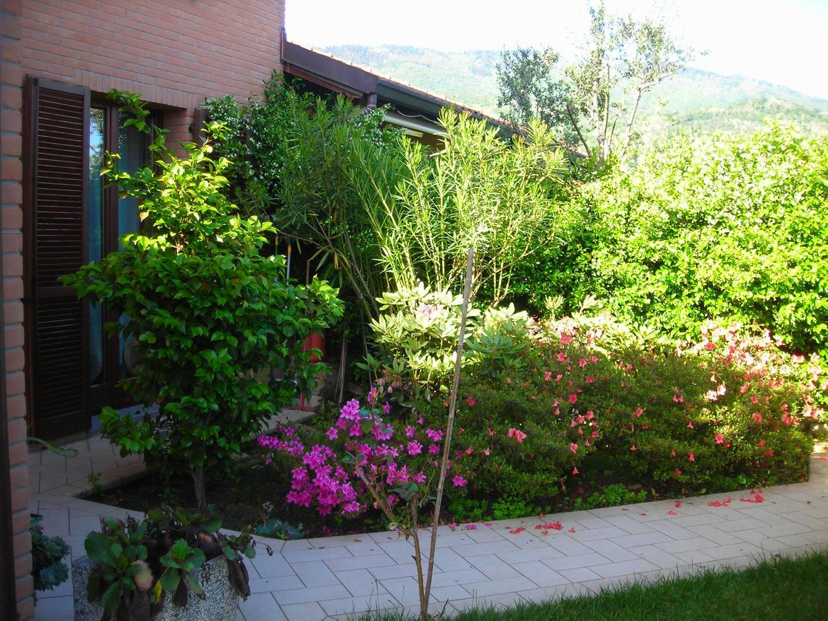 La Folaga Bed & Breakfast Gavirate Eksteriør bilde